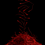 زعفران سوپر نگین ممتاز صادراتی