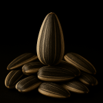 تخمه آفتابگردان ممتاز صادراتی